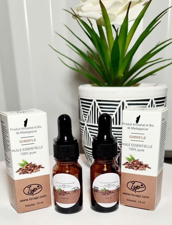 Huile essentielle de clou de girofle 100% pure et Bio de Madagascar-LVP – Image 3