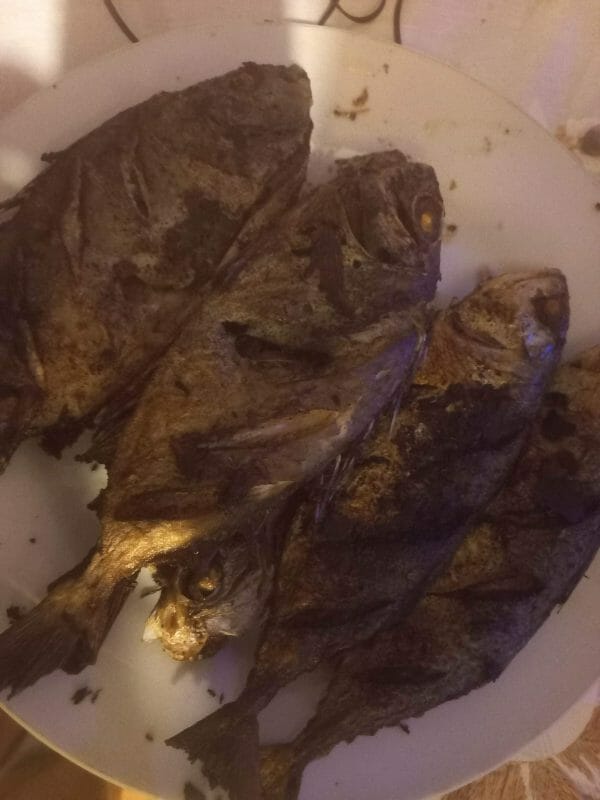 Poisson Marguerite de Madagascar Frit Avec ou Sans Piment / Loko Ants'Art Gasy Kabaka "Henjy Firiry"