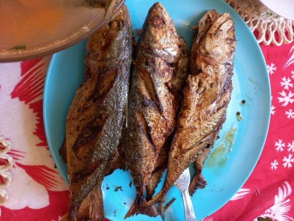 Ants'Art Gasy Kabaka "Mahaloky Firiry" (Poisson Maquereau de Madagascar Frit Avec ou Sans Piment / Loko Firiry)