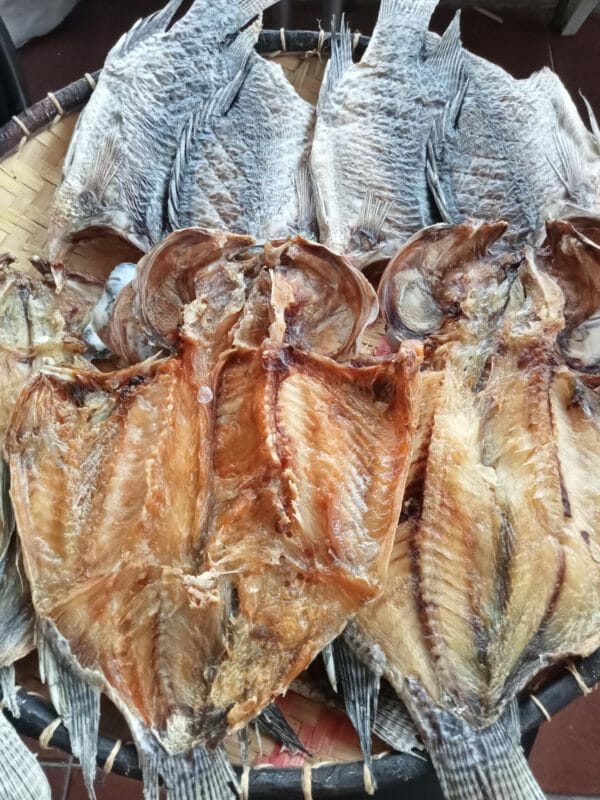 tilapia séché