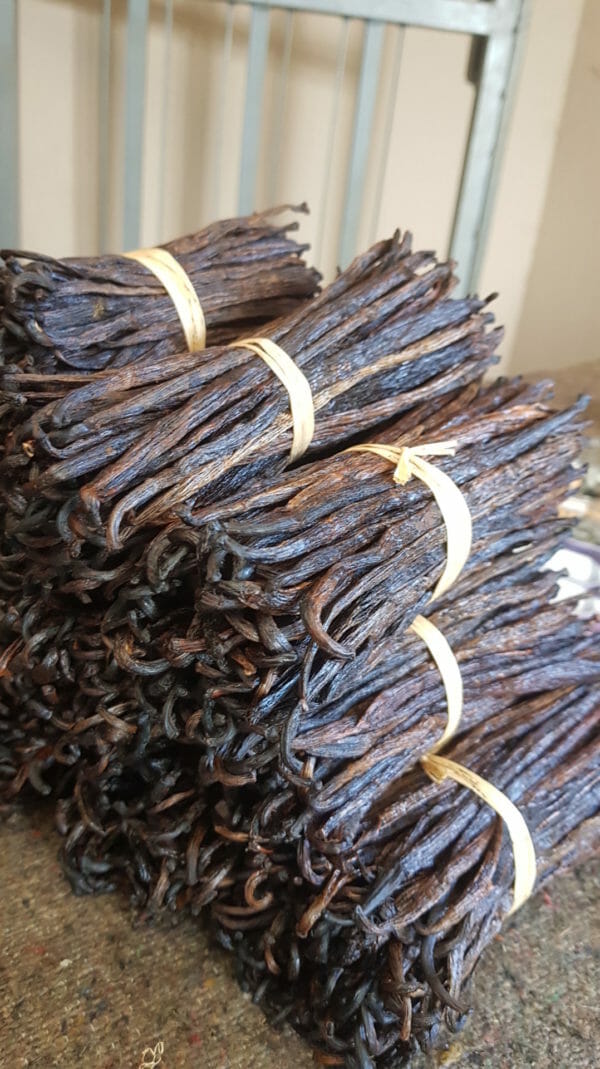 Vanille bourbon 18CM non fendue de Madagascar