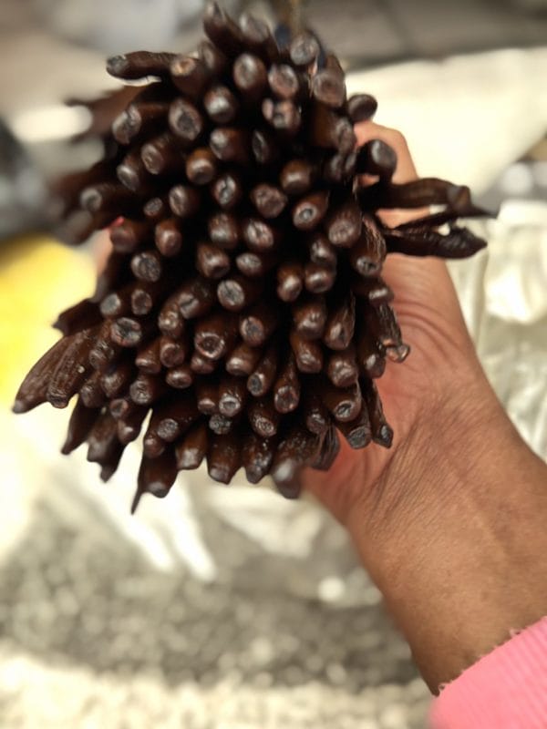 Vanille bio de Madagascar – Image 3