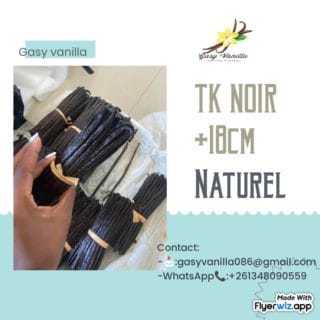 Vanille TK 18cm