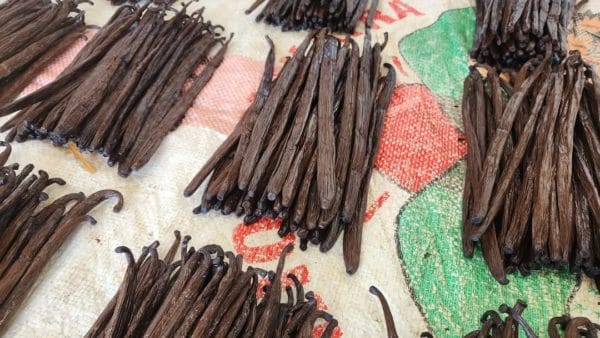 Pack-coffret KADÔ découverte MM- 250gr miel Mokarana et 10 gousses de vanille de Madagascar – Image 3